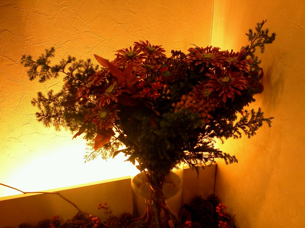 IMG_20121120_202411
