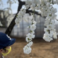 IMG_0179