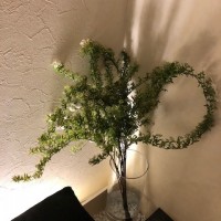 IMG_9206