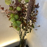 IMG_0630