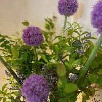 IMG_2588