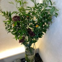 IMG_2748