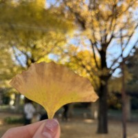 IMG_1863