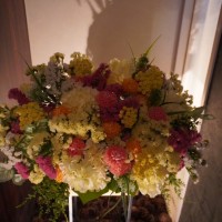 IMG_7571