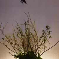 IMG_7574