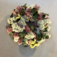 IMG_0262