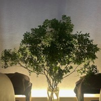 IMG_0264